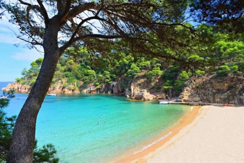 Picasso'S Mountain View Begur Villa Spain